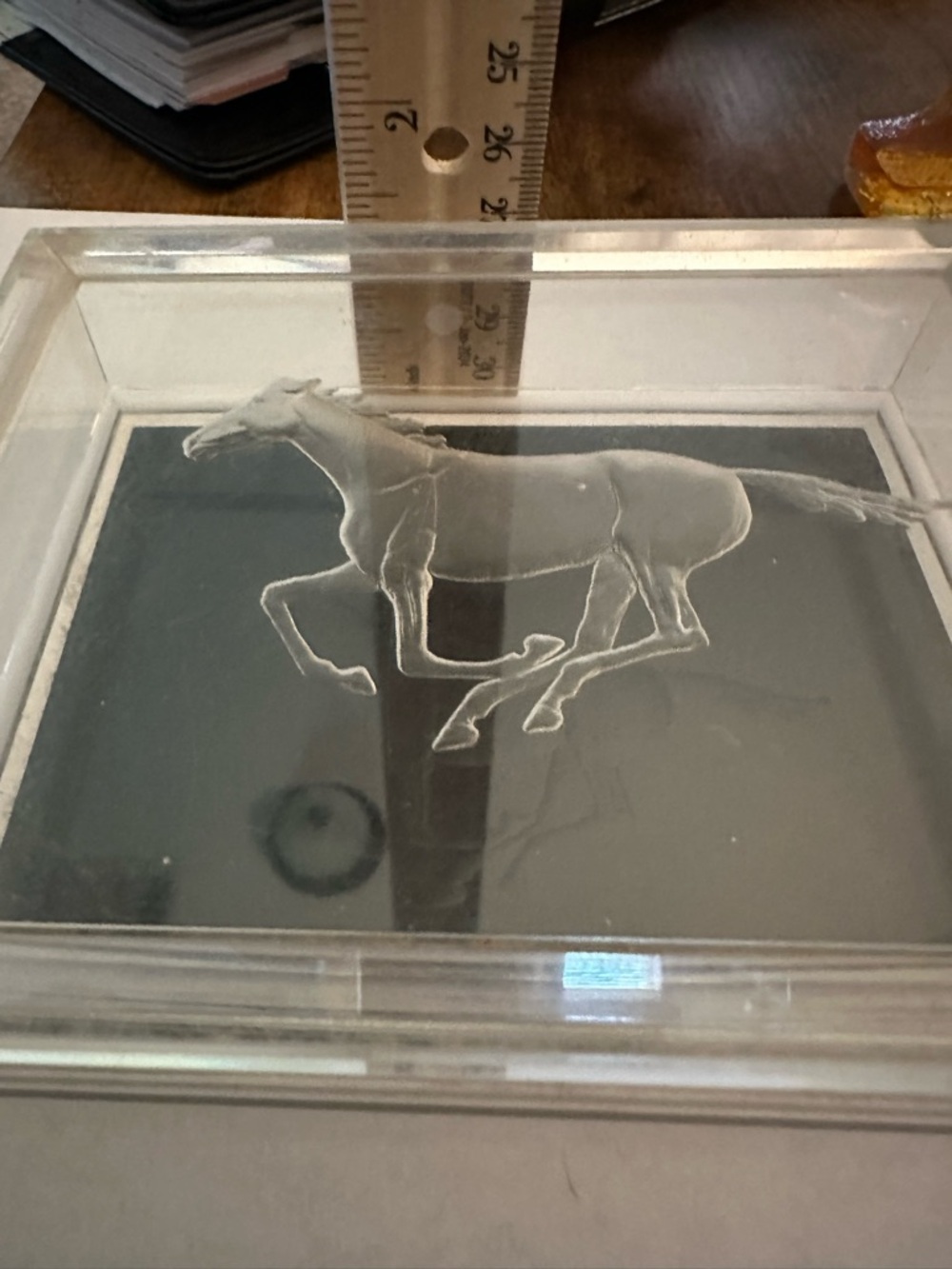 Clear Acrylic Horse Art Plaque with Black Panel - Picture 3 of 4